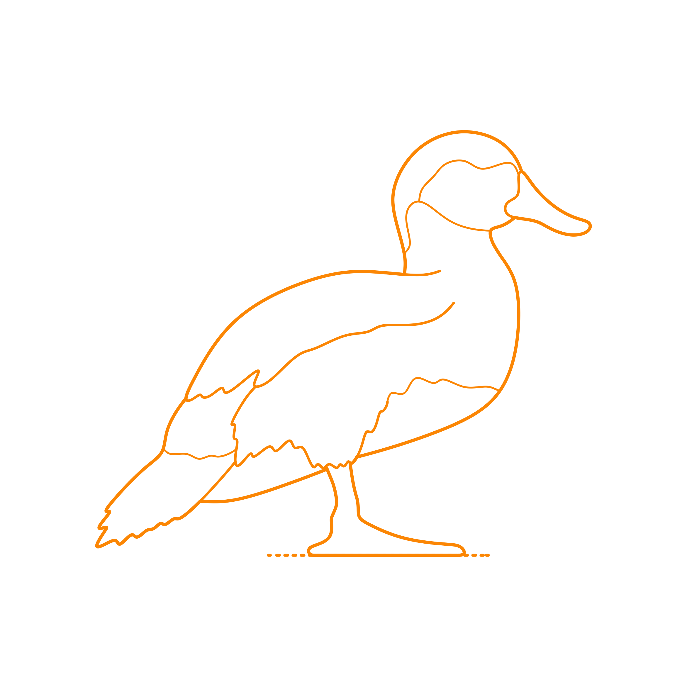 Animals Waterfowl Ruddy Duck Sketch Drawing Svg Free Vectors